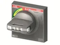 2CCS800900R0041