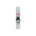 2CCS861002R0805