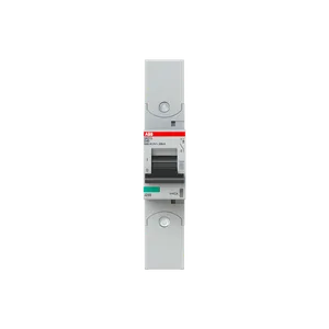 2CCS861002R0401