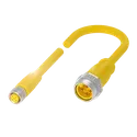 BCC M415-A314-3A0-304-LX44T2-003 BCC0P92