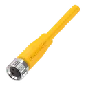 BCC M313-0000-10-001-EX43T2-020 BCC050L