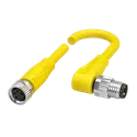 BCC M314-M324-30-304-EX44T2-010 BCC054L