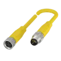 BCC M313-M313-30-300-EX43T2-003 BCC0519