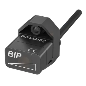 BIP0029