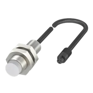 BCS0019