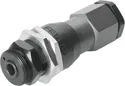 UV 4203