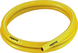 558304
