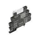 TRS T 24VDC 1CO M3 2639560000
