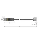 RSS8T-2/TEL 6625452