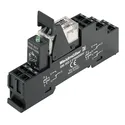 RCLKITZ 24VDC 1CO LED 8798620000