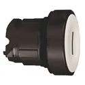 ZB4BA1317