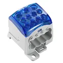 WPD 107 1X95/2X35+8X25 BL 2521730000