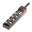 BPI 8M304P-5K-B0-KPXK0-100 BPI00EK