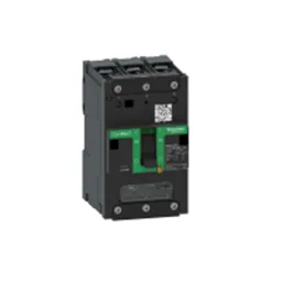 C113100BS
