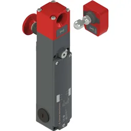50132058