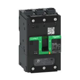 C113100LS
