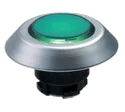 NMLGN 101174521
