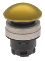 EDPGB 101006291