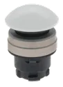 EDPWS 101006294