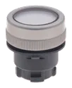 EMLWS 101006463