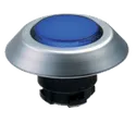 NMLBL 101174519