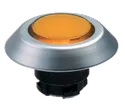 NMLGB 101174520