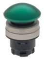 EDPGN 101006293