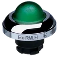 EX-RMLHGN 101197360