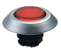 NMLRT 101174522