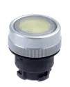 EDLMGB 101006420