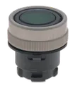 EDLGN 101006404