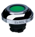 EX-RDLGN 101197350