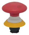 NDRR50RT-2905-1 103013775