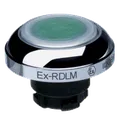 EX-RDLMGN 101197355
