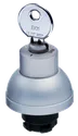 RSS21S1 101195361