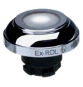 EX-RDLWS 101197351