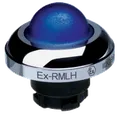 EX-RMLHBL 101197362