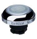 EX-RDLMWS 101197356