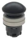 EDPSW 101006290