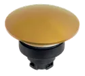 103039254