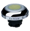 EX-RDLMGB 101197353