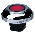 EX-RDLRT 101197349
