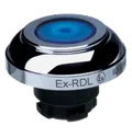 EX-RDLBL 101197352