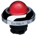 EX-RMLHRT 101197359