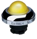 EX-RMLHGB 101197358