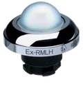 EX-RMLHWS 101197361